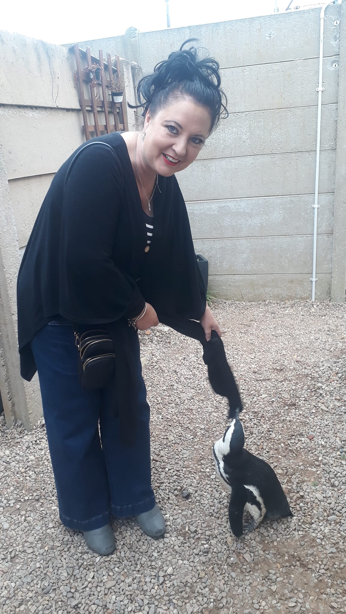 290036744_156387620292814_7505343343136128479_n