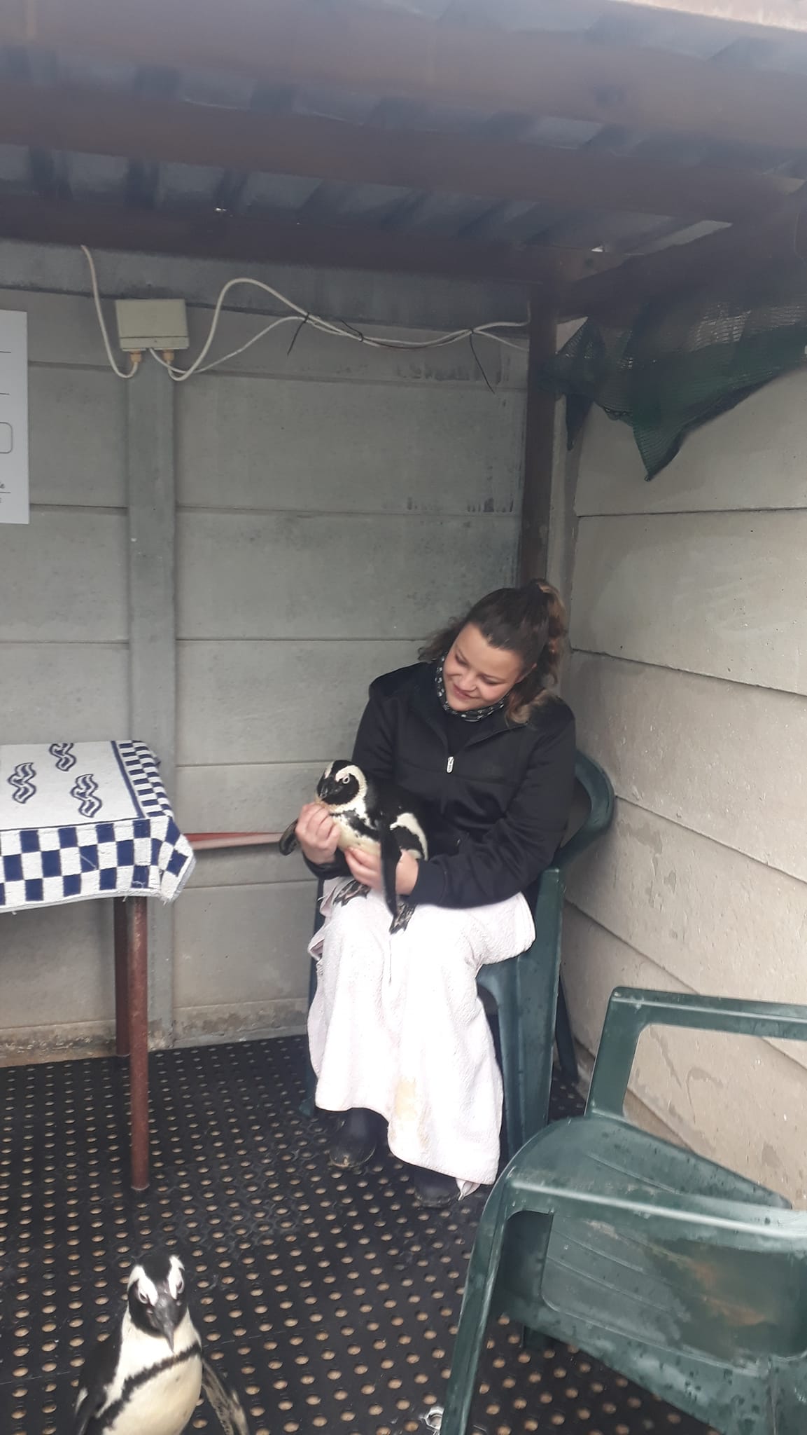 290228842_156387600292816_2642028764058956561_n